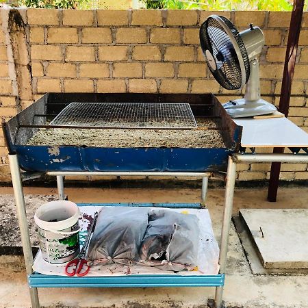 Homestay Tok Abah Dalam Rhu Pasir Puteh Zewnętrze zdjęcie
