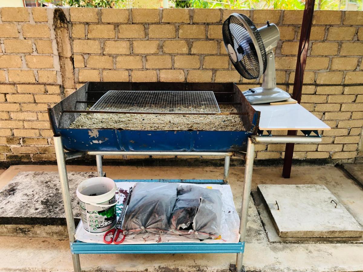Homestay Tok Abah Dalam Rhu Pasir Puteh Zewnętrze zdjęcie